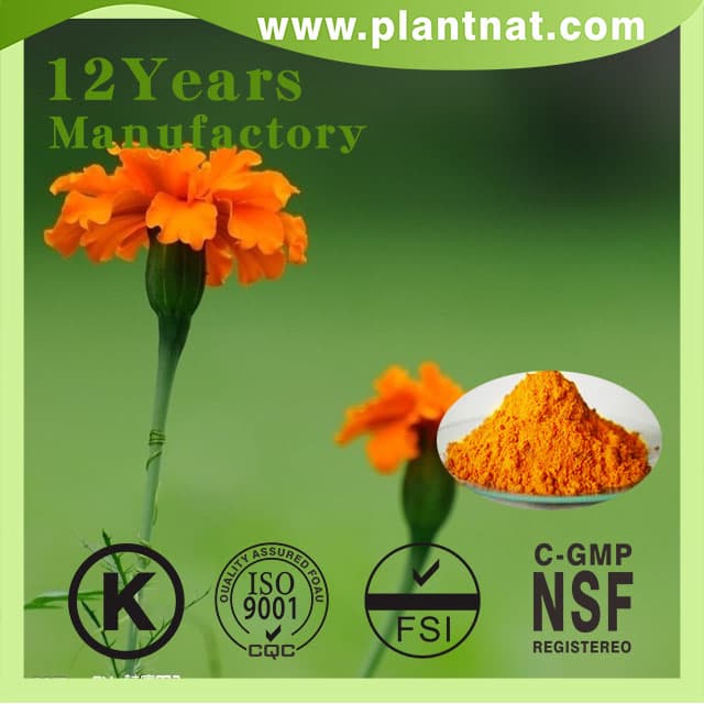 high quality lutein_ marigold flower extract